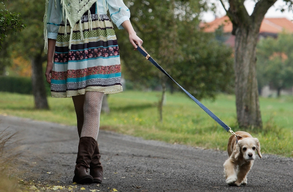 person walking dog