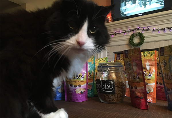 cat eating wellness kittle treats