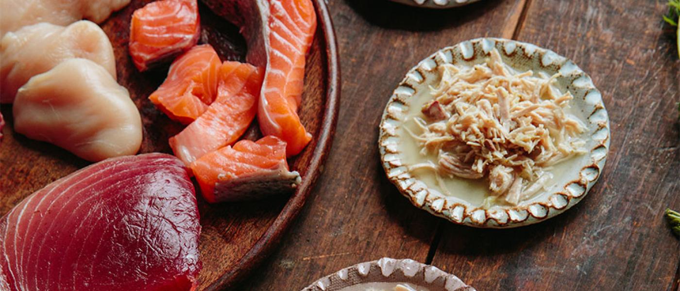 4 Protein Options for Dog Food Without Chicken Wellness Pet Food Japan