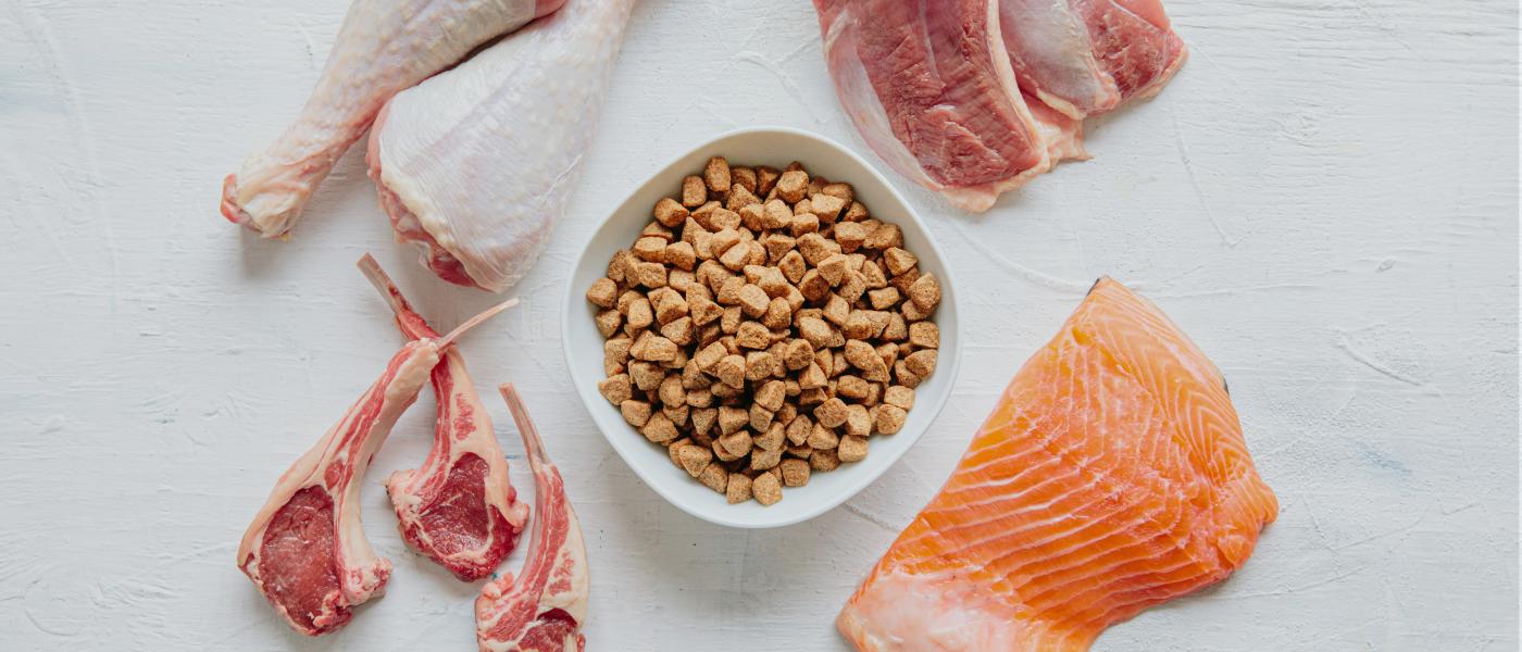 These Two Wellies Bring Over 50 Years Experience to Wellness Pet Food