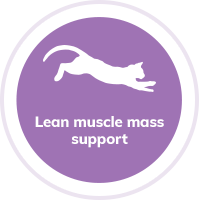 cat lean muscle
